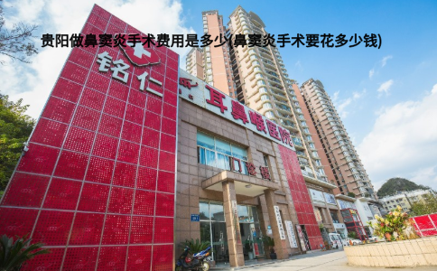 貴陽做鼻竇炎手術(shù)費用是多少(鼻竇炎手術(shù)要花多少錢)