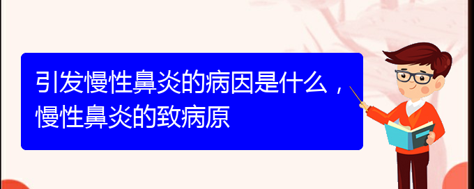 (貴陽中醫(yī)可以看慢性鼻炎嗎)引發(fā)慢性鼻炎的病因是什么，慢性鼻炎的致病原(圖1)