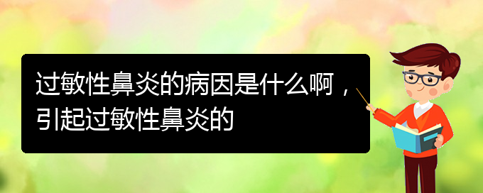 (貴州什么醫(yī)院治療過敏性鼻炎)過敏性鼻炎的病因是什么啊，引起過敏性鼻炎的(圖1)