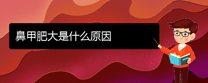 (貴陽(yáng)鼻科醫(yī)院掛號(hào))鼻甲肥大是什么原因(圖1)