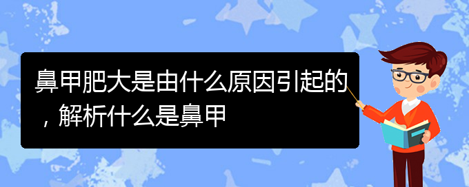 (貴陽鼻甲肥大如何治療)鼻甲肥大是由什么原因引起的，解析什么是鼻甲(圖1)