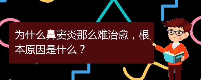 (貴陽治療鼻竇炎要多少費(fèi)用)為什么鼻竇炎那么難治愈，根本原因是什么？(圖1)