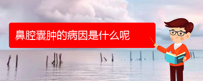 (貴陽(yáng)哪個(gè)醫(yī)院看鼻腔腫瘤)鼻腔囊腫的病因是什么呢(圖1)