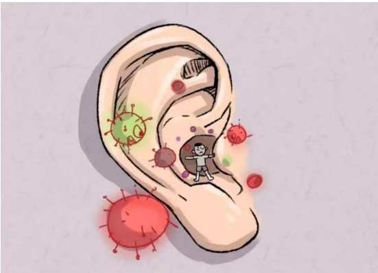 耳朵瘙癢，伴有異味，可能是外耳道濕疹在作祟(圖2)