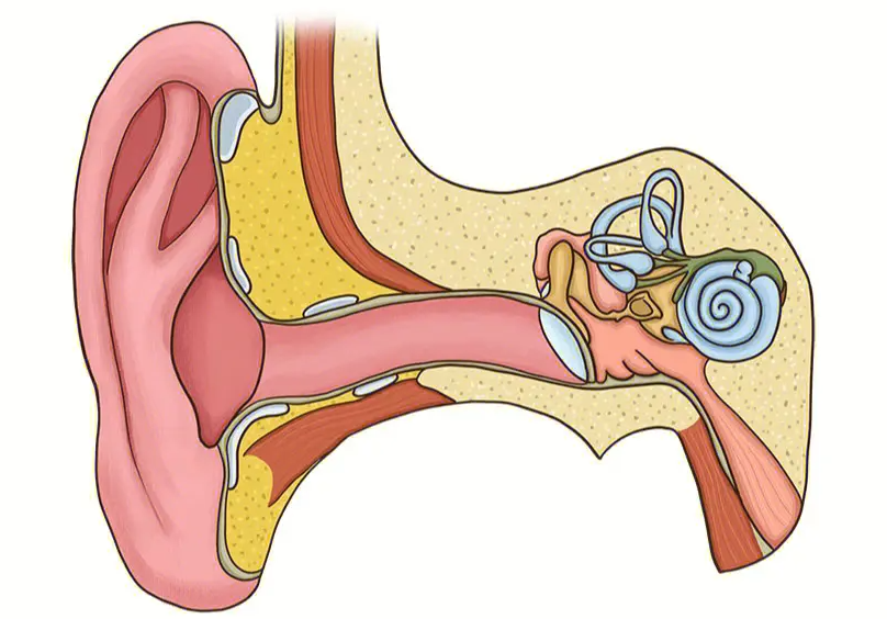 突發(fā)性耳聾不用怕，及時(shí)治療效果好！(圖3)