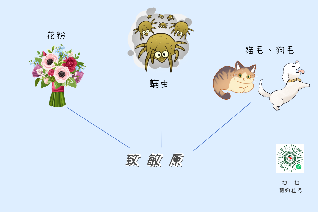 為什么一到春冬換季，過敏性鼻炎就會加重？(圖3)